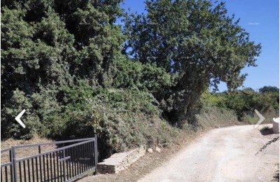 Zemljište Ližnjan