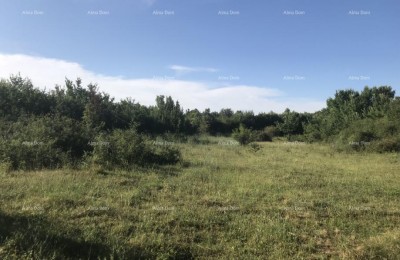 Blizina Raklja, građevinski teren sa građevinskom dozvolom.